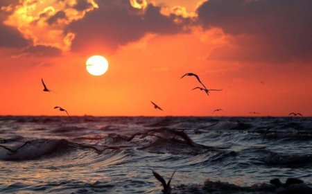 الطقس: كتلة هوائية دافئة الى حارة