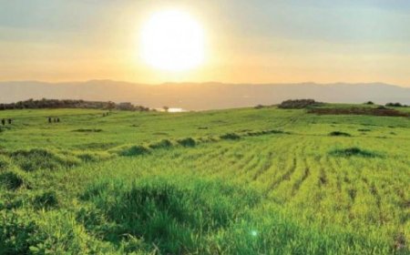 الطقس: أجواء ربيعية معتدلة