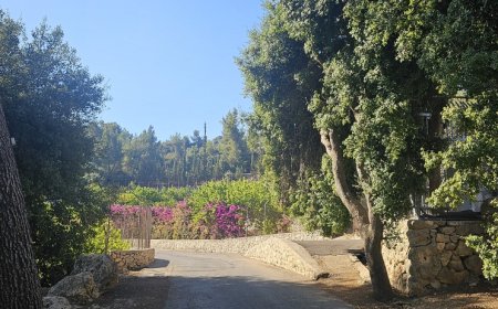 الطقس: أجواء غائمة جزئيا وارتفاع طفيف على درجات الحرارة