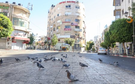 الاضراب يعمّ فلسطين تنديدا بالعدوان الاسرائيلي على غزة