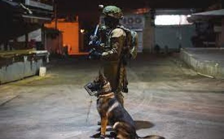 هولندا تصدّر كلابًا عسكرية تُستخدم بتعذيب الفلسطينيين