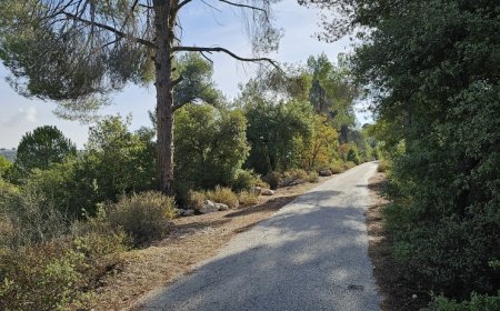 الجو غائماً جزئياً وباردًا