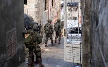 الامن الفلسطيني يعثر على صاروخ لاو من مخلفات الاحتلال في طولكرم