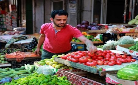 الإحصاء: انخفاض أسعار الجملة في فلسطين خلال الربع الأول من 2025 رغم ارتفاع السلع المحلية