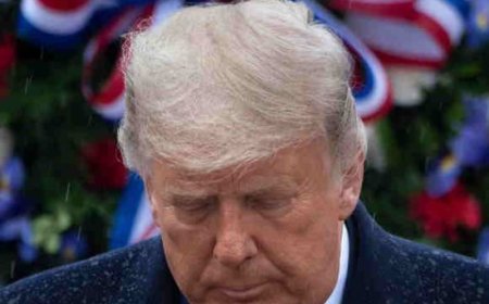 وول ستريت جورنال: ترامب منح الرئيس الصيني هدية ثمينة