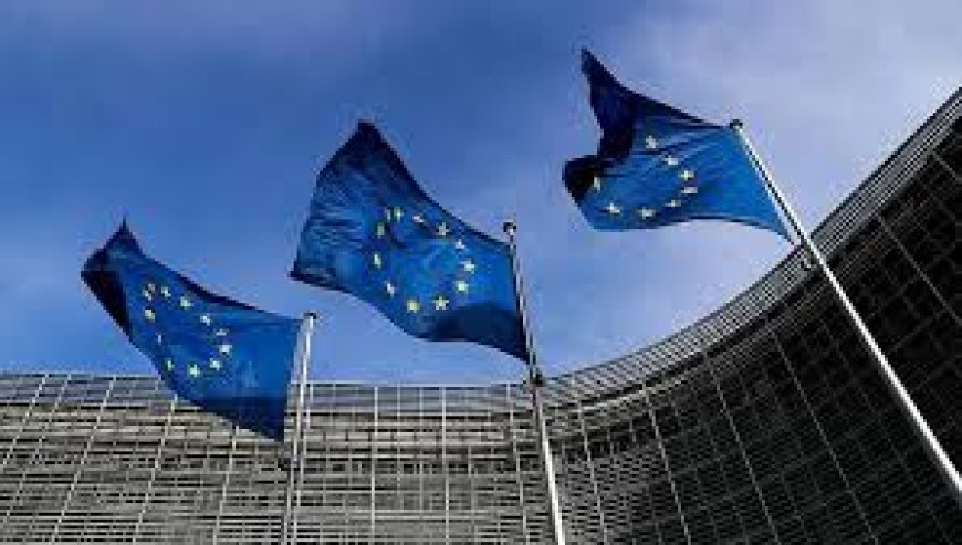 المفوضية الأوروبية تفرض رسوم جمركية بنسبة 25% على البضائع القادمة من الولايات المتحدة