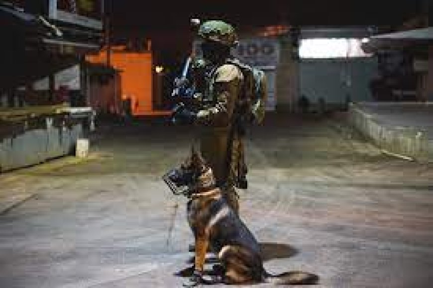 هولندا تصدّر كلابًا عسكرية تُستخدم بتعذيب الفلسطينيين