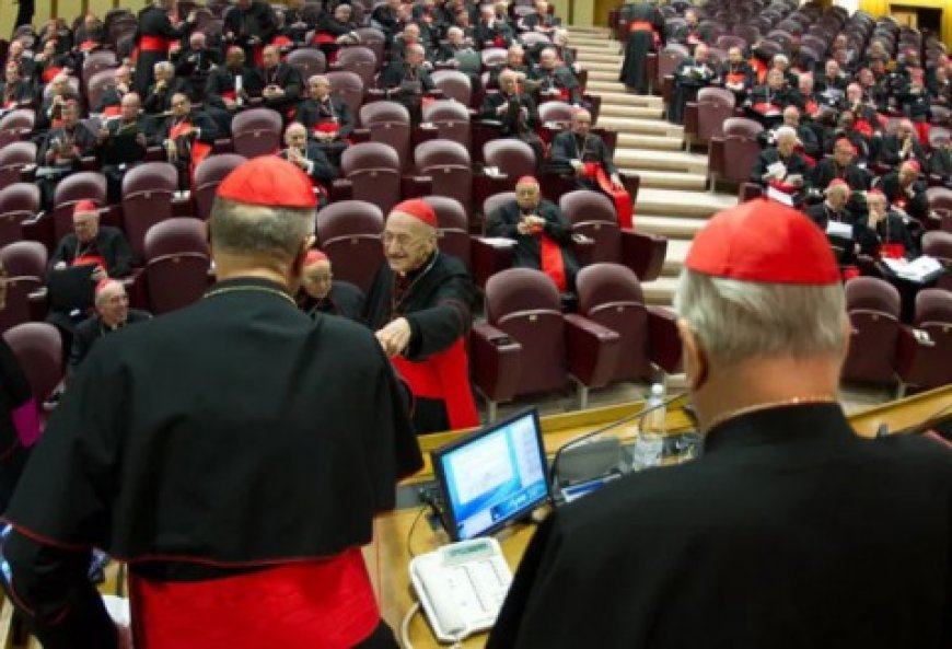 الاندبندنت: من بابا الفاتيكان المقبل؟ هؤلاء أبرز الكرادلة المحتملين لخلافة البابا فرانشيسكو