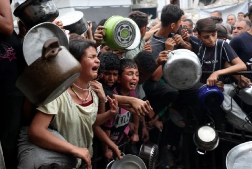 إندبندنت: النظام الدولي يتفكك والتطبيع مع صور الإبادة تهديد للجميع