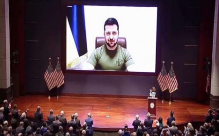 فزغلياد: لماذا يخشى زيلينسكي اعتراف الولايات المتحدة بتبعية القرم لروسيا؟