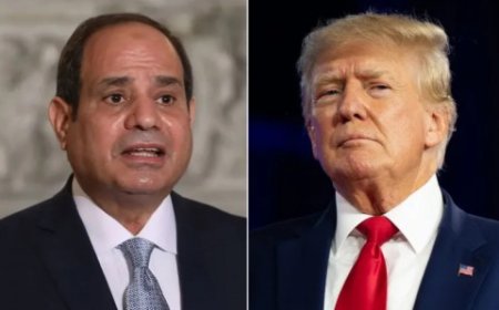 “وول ستريت جورنال”: ترامب طلب من السيسي المرور المجاني عبر قناة السويس للسفن الأمريكية