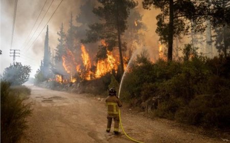 الحرائق لا تزال مشتعلة وتوقعات باشتداد الرياح.. آلاف الدونمات احترقت وخسائر بالملايين