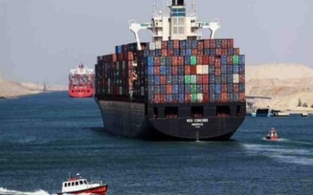 ماذا وراء توقيع اتفاقية اقتصادية بين قناة السويس وموانئ أبوظبي؟ لماذا أبدى خبراء اقتصاديون قلقهم البالغ وذكّر آخرون بمقولة مبارك “الموانئ خط أحمر”؟