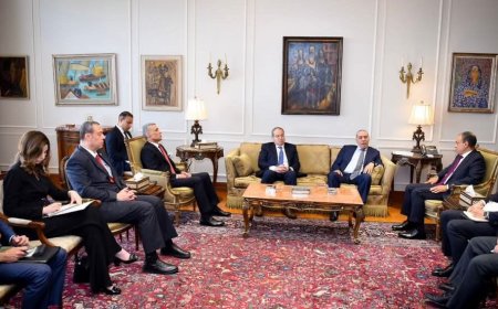 الشيخ يلتقي وزير الخارجية المصري