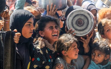 إيطاليا تخصص 2.5 مليون يورو لمساعدة أهالي غزة