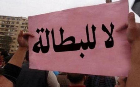 بصدارة جنين.. إليك أكثر محافظات الضفة تسجيلا للبطالة في 2024