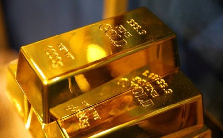 «فيبوناتشي الذهب».. طريق الحرير أم عتبة الموت؟