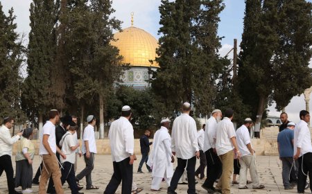 مستعمرون يقتحمون المسجد الأقصى