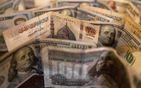 سعر الدولار في مصر عند أدنى مستوى من 6 أشهر.. فلماذا يتراجع؟
