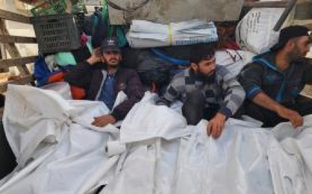 هآرتس: ما ترتكبه إسرائيل في غزة “جريمة حرب جماعية”