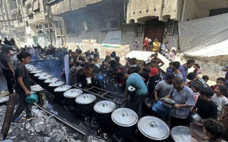 مقررة أوروبية: أفعال إسرائيل بغزة تشير إلى إبادة جماعية وتطهير عرقي