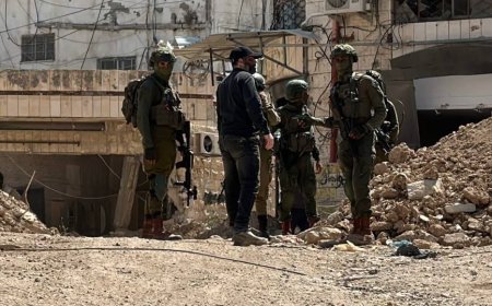 الاحتلال يواصل عدوانه على طولكرم ومخيميها: أعمال تجريف وهدم متواصلة