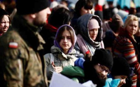 نيويورك تايمز تكشف بنودا من مذكرة أوكرانيا حول تسوية النزاع