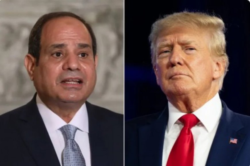 “وول ستريت جورنال”: ترامب طلب من السيسي المرور المجاني عبر قناة السويس للسفن الأمريكية