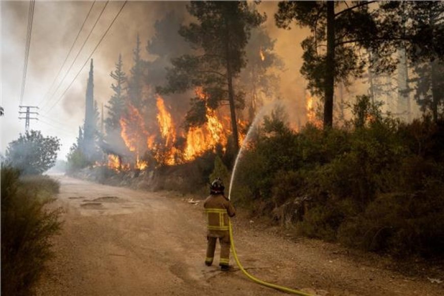 الحرائق لا تزال مشتعلة وتوقعات باشتداد الرياح.. آلاف الدونمات احترقت وخسائر بالملايين