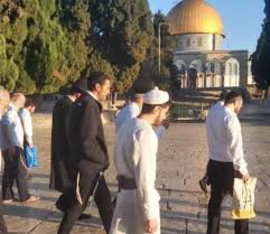 مستعمرون يقتحمون الأقصى ويؤدون طقوسا تلمودية