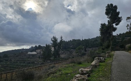 الطقس: أجواء غائمة جزئيا ومعتدلة والحرارة أدنى من معدلها العام بقليل