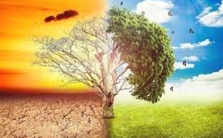 التغير المناخي يضيف شهرًا من الحر الشديد لنصف سكان العالم