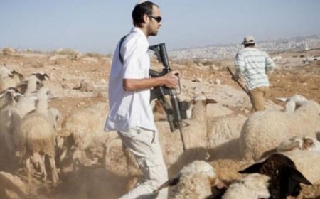 مستعمرون يهاجمون رعاة الأغنام بطائرات مسيّرة في قرية المنيا شرق بيت لحم