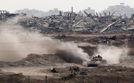 في يوم البيئة العالمي..غزة تئن "تحت وطأة الإبادة الإنسانية والبيئية"