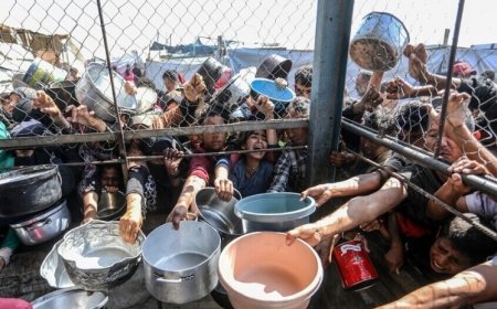 فشل الخطة الامريكية الإسرائيلية للمساعدات واستعداد حكومة غزة لتأمين توزيعها