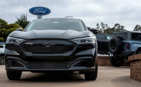 الرئيس التنفيذي لفورد: نقص المعادن النادرة أجبرنا على وقف الإنتاج