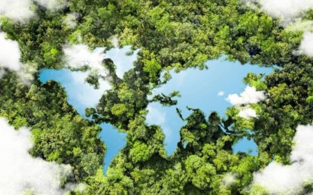 التضخم الأخضر.. تكلفة الاستدامة الاقتصادية وهل يدفع التحول الأخضر بعض الدول إلى الإفلاس