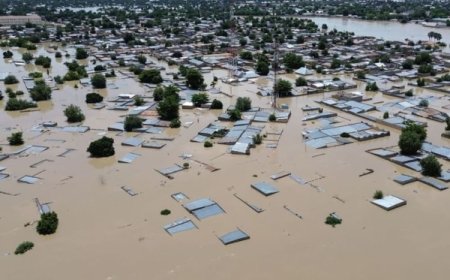 نيجيريا: 700 شخص في عداد المفقودين جراء الفيضانات