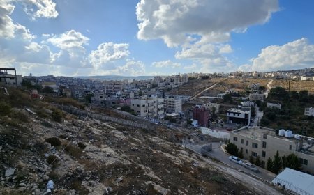 حالة الطقس: أجواء حارة إلى شديدة الحرارة