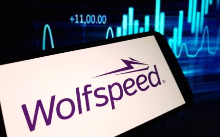 «وولف سبيد» الأميركية تلجأ لإشهار إفلاسها وسط ضغوط اقتصادية