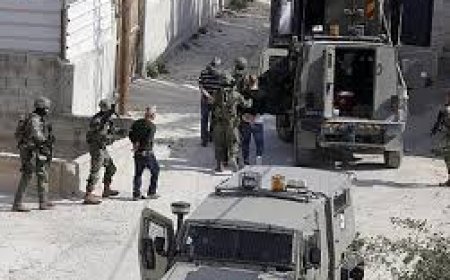 الاحتلال يعتقل 12 مواطنا من محافظة نابلس بينهم صحفي