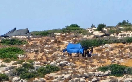 مستعمرون ينصبون خياما في أراضي عصيرة القبلية جنوب نابلس