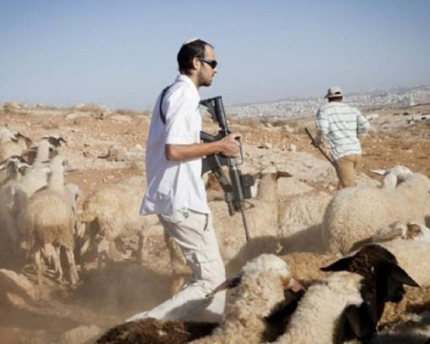 مستعمرون يهاجمون رعاة الأغنام بطائرات مسيّرة في قرية المنيا شرق بيت لحم