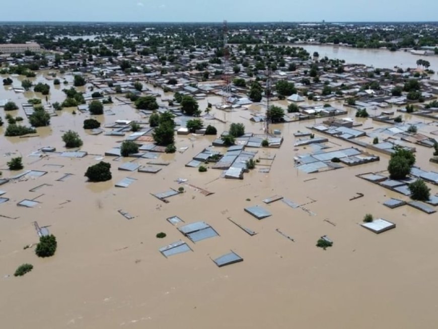 نيجيريا: 700 شخص في عداد المفقودين جراء الفيضانات