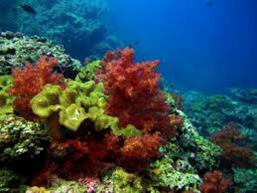 "فانا": الاستثمار السياحي البيئي في عُمان داعم للاقتصاد الوطني ومعزز للمحلي