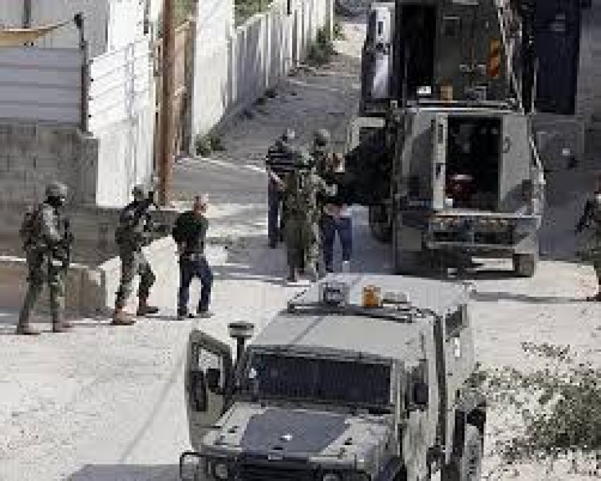 الاحتلال يعتقل 12 مواطنا من محافظة نابلس بينهم صحفي