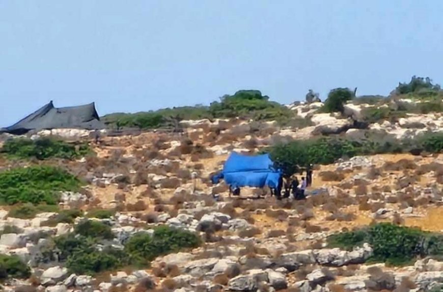 مستعمرون ينصبون خياما في أراضي عصيرة القبلية جنوب نابلس