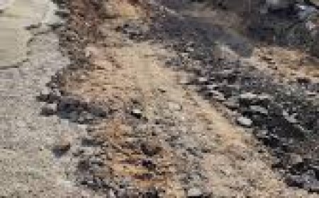 كميل: مجموع التدخلات النقدية والإغاثية بلغت أكثر من 55 مليون شيقل للنازحين من مخيمي طولكرم ونور شمس