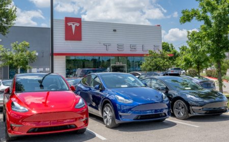 مبيعات تسلا تنتعش في النرويج وإسبانيا.. وتتراجع في السويد والدنمارك