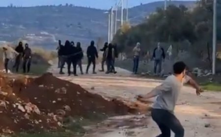 3 إصابات في هجوم للمستوطنين على قرية سنجل